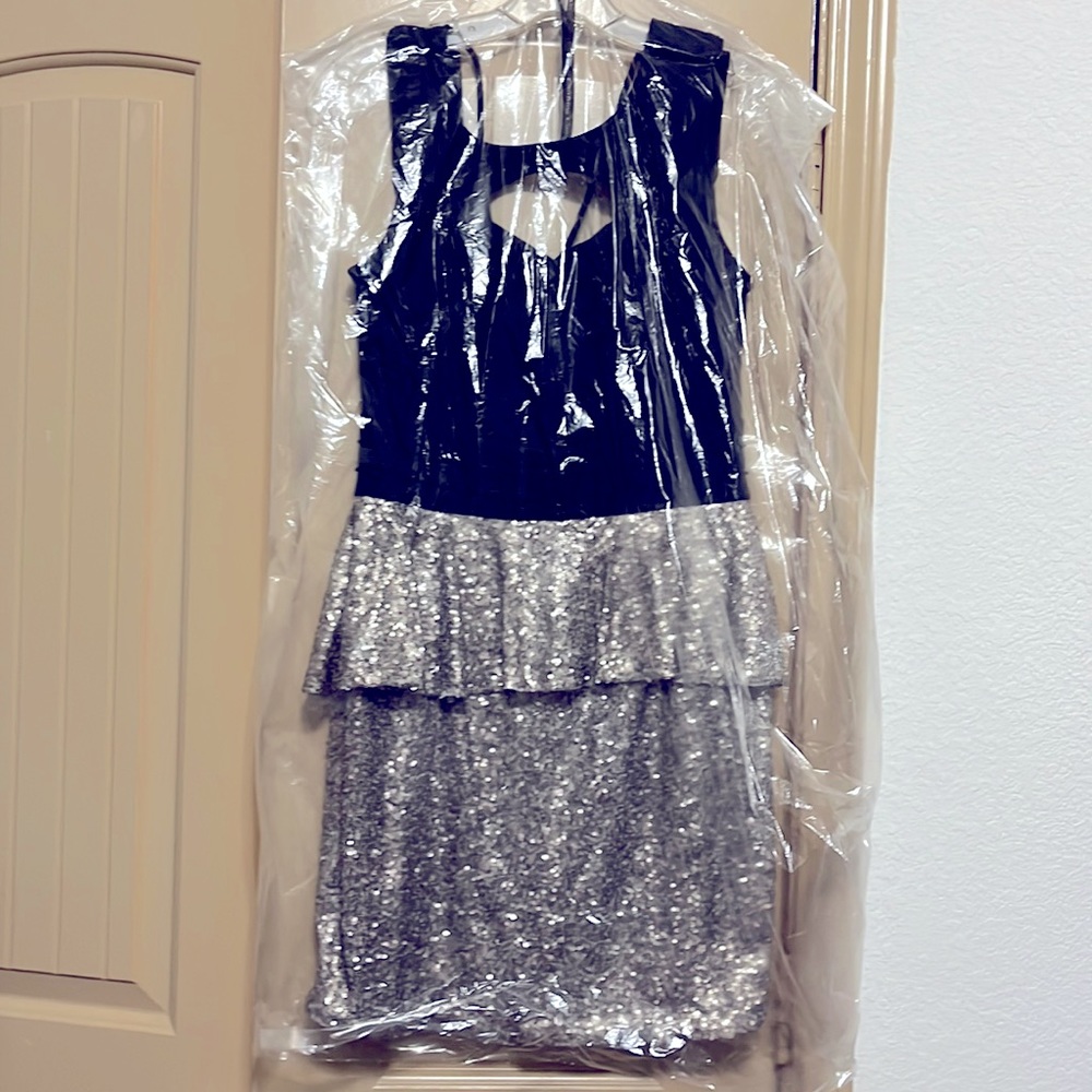 NWT Sparkly Silver Party Dress